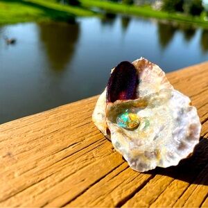 Handcrafted Shell Hair Clips